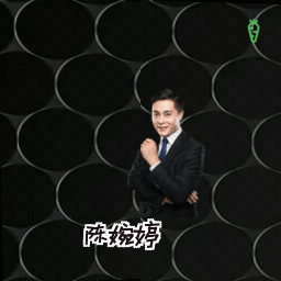 陈婉婷